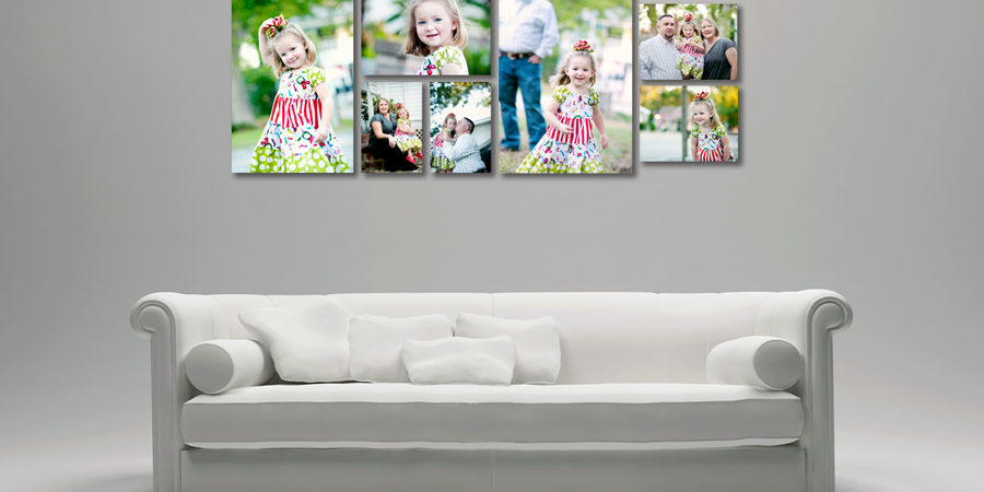 photographers wall displays