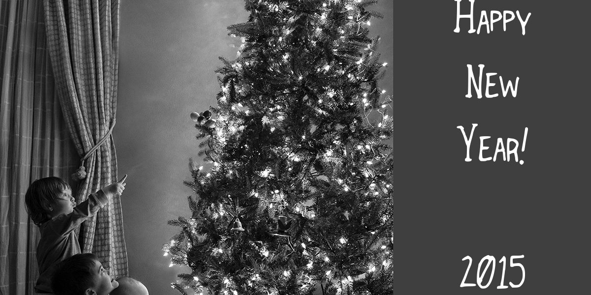 cousin tree 2014B-2WEB